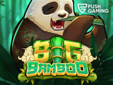 New microgaming casino80